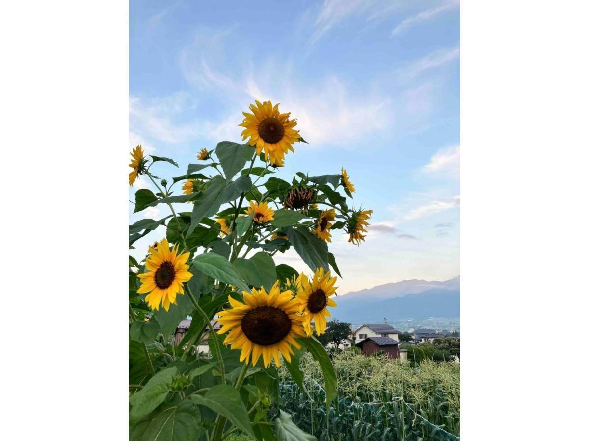 Longhillsecoguesthouse&Cafe - Vacation Stay 24885V Ome Esterno foto
